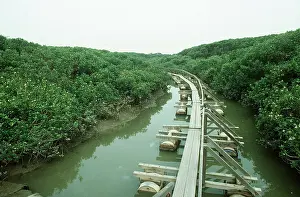 Hong: Hong Kong - Mai Po Reserve