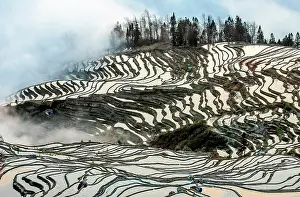 Daybreaks: Honghe Hani Rice Terraces, Rice terraces of Yunn