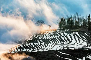 Daybreaks: Honghe Hani Rice Terraces, Rice terraces of Yunn