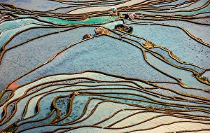 Terraced: Honghe Hani Rice Terraces in Yuanyang County. Yu