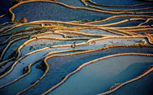 Farmers: Honghe Hani Rice Terraces in Yuanyang County. Yu