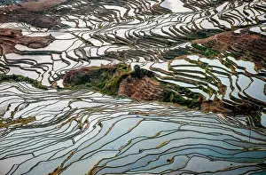 Terraces: Honghe Hani Rice Terraces in Yuanyang County. Yu
