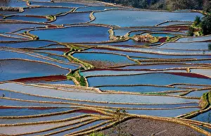 Terraces: Honghe Hani Rice Terraces in Yuanyang County. Yu