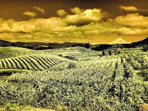 Eggers: Hood River Valley, Mount Rainier
