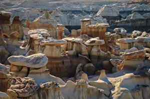 Reddish: Hoodoos, eroded sandstone, Bisti Badlands, Bisti/De-Na-Zin