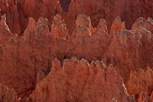 Siltstone: Hoodoos - occur in Claron formation containing