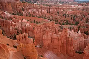Siltstone: Hoodoos - occur in Claron formation containing