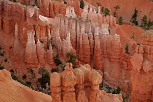 Siltstone: Hoodoos - occur in Claron formation containing