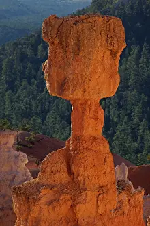 Siltstone: Hoodoos - occur in Claron formation containing
