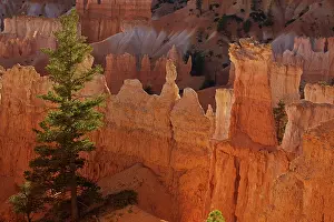 Siltstone: Hoodoos - occur in Claron formation containing