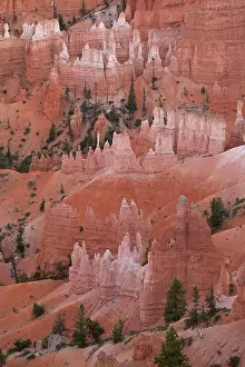 Siltstone: Hoodoos - occur in Claron formation containing