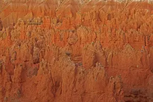 Siltstone: Hoodoos - occur in Claron formation containing