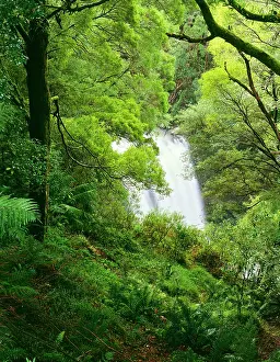 Hopetoun: Hopetoun Falls and temperate rainforest