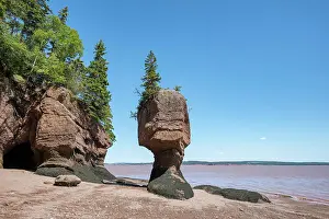 Fundy: Hopewell Rocks also Flowerpot Rocks, Bay of Fundy