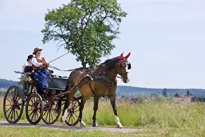 Costumes: Horse carriage and old costumes France