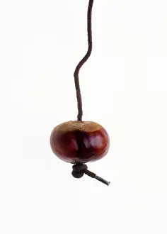 Comedy: Horse Chestnut