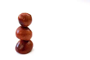 Hippocastanum: Horse Chestnut