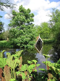 Gunnera: Horse Chestnut Tree - In flower, by pool and boat