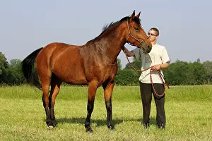 Reins: Horse - chestnut wearing halter with owner