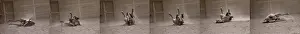 Composite: Horse with colic is rolled on the floor