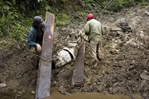 Board: Horse collapsed under an overload of planks Ecuador