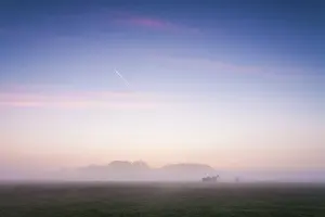 Middag: Horse