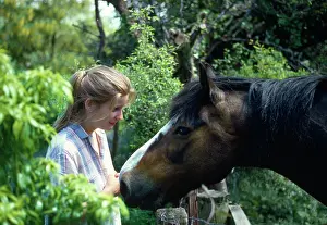 Stroking: Horse - girl making friends with pony