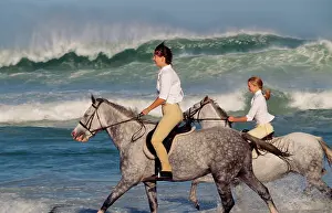 Dappled: HORSE - Grey horses & riders on the beach riding