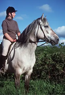 Riding: HORSE - Highland Pony with rider