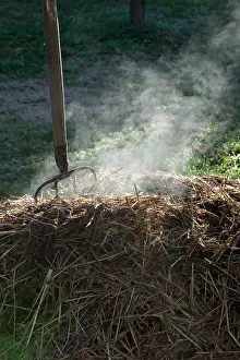 Smoking: Horse manure smoking with a fork-spade in a garden