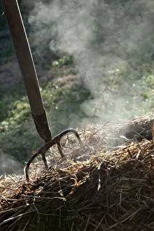 Smoking: Horse manure smoking with a fork-spade in a garden