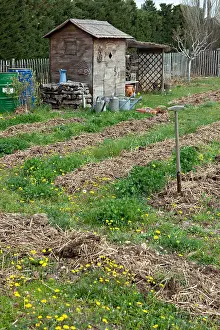 Tools: Horse manuring in a kitchen garden garden