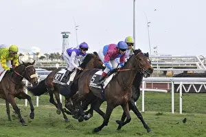 Express: Horse racing on the Hippodrome of Cagnes sur mer France