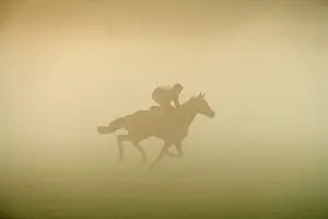 Jockey: Horse - racing on misty morning