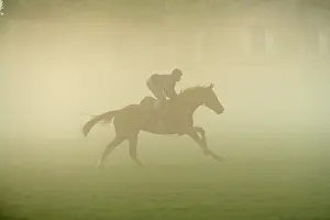 Jockey: Horse - racing on misty morning