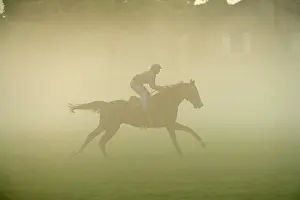Jockey: Horse - racing on misty morning