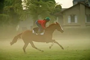 Jockey: Horse - racing on misty morning