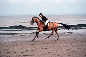 Cantering: HORSE - With rider, cantering along beach