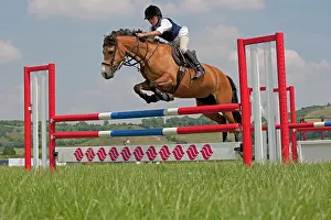 Hurdles: Horse Rider - jumping