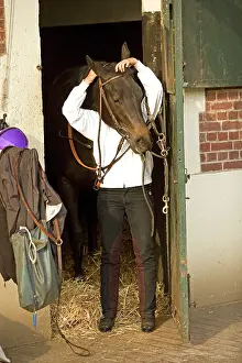 Bridles: Horse - rider putting bridle over horse's head