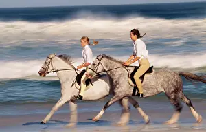 Dappled: HORSE - two with riders on beach by sea