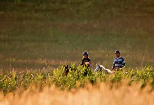 Owners: Horse riders - in evening light