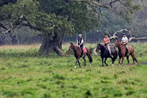 Owners: Horse Riding