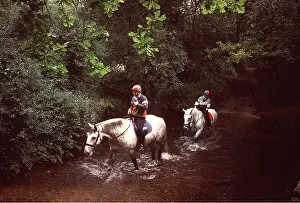 Riding: HORSE RIDING - Fording a stream
