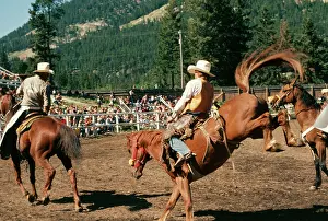 Glamour: HORSE - Rodeo Saddle Bronc Horse Riding