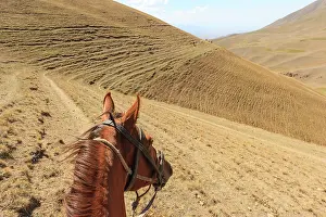 Made: Horse and tracks made by cattle in the hill - Kyrgyzstan