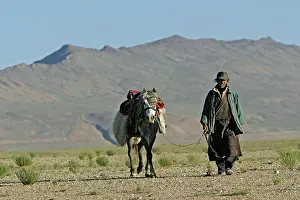 Nomads: Horseman in Tso Kar basin