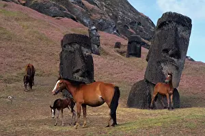 Plastic: Horses on easter Island