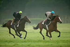 Jockey: Horses - two racing