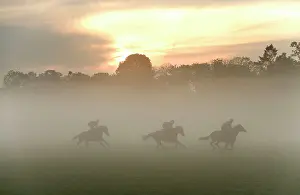 Jockey: Horses - three racing on misty morning